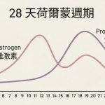 月經干擾排便？女性荷爾蒙平衡成關鍵！